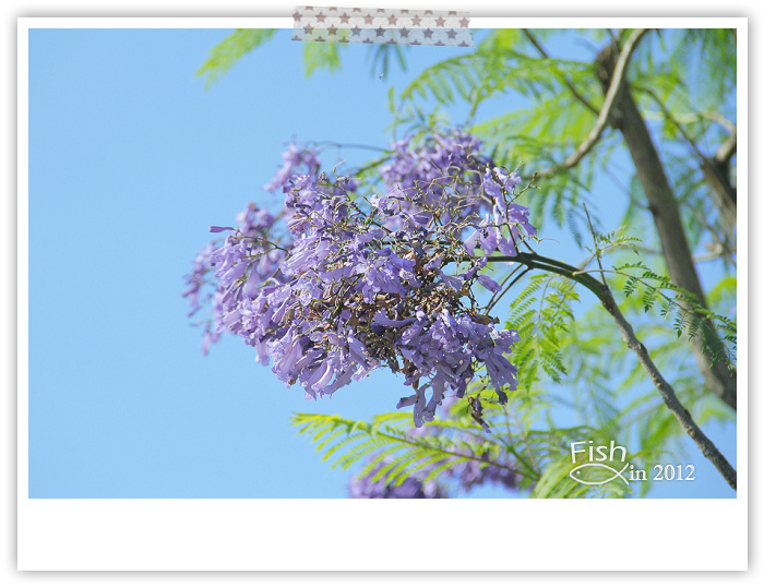 照片_0527-1 照片_0527-1