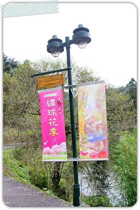 照片_2891-1 照片_2891-1