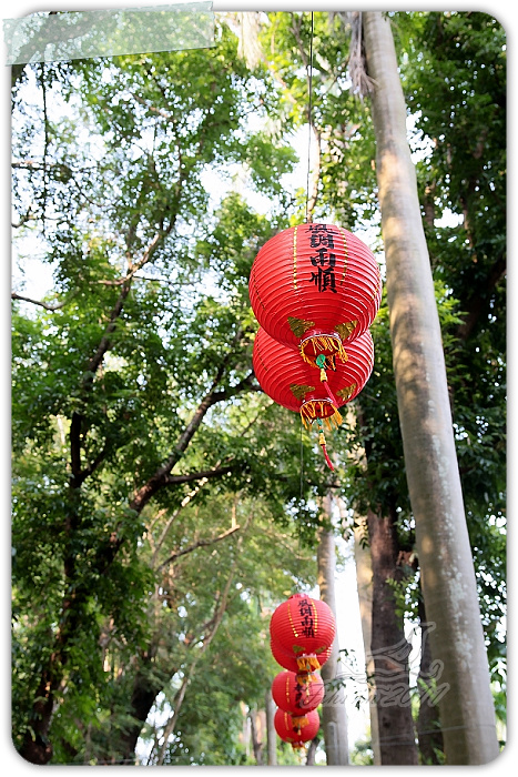 照片_2145-1.jpg 照片_2145-1.jpg