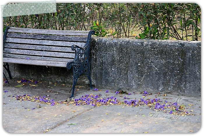 照片_2165-1.jpg 照片_2165-1.jpg