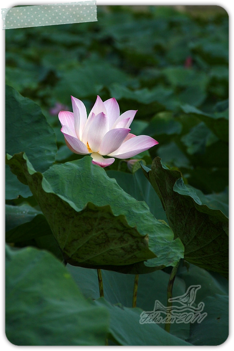 照片_1846-1.jpg 照片_1846-1.jpg