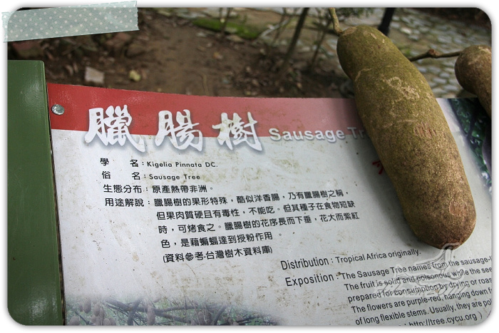 照片_1950-1.jpg 照片_1950-1.jpg