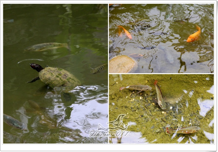 照片_0962-1.jpg 照片_0962-1.jpg