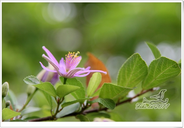 照片_0965-1.jpg 照片_0965-1.jpg