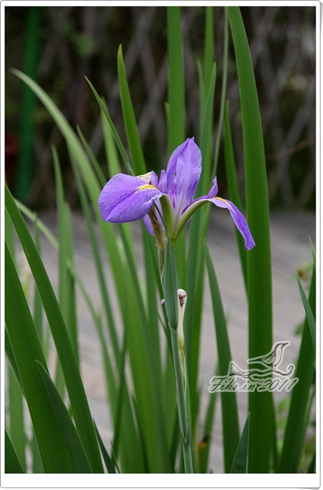 照片_0972-1.jpg 照片_0972-1.jpg