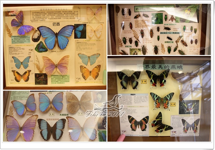 照片_0975-1.jpg 照片_0975-1.jpg