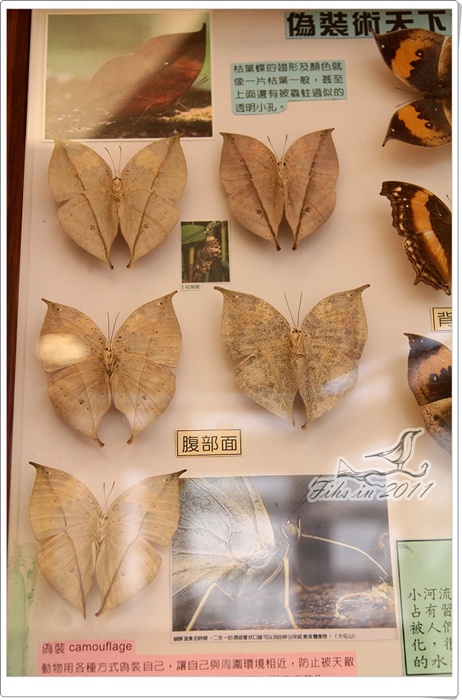 照片_0980-1.jpg 照片_0980-1.jpg
