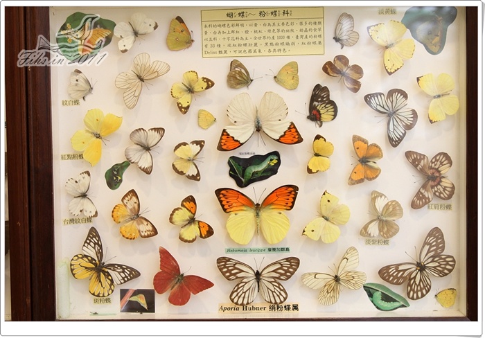 照片_0981-1.jpg 照片_0981-1.jpg