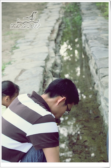 照片_0990-1.jpg 照片_0990-1.jpg