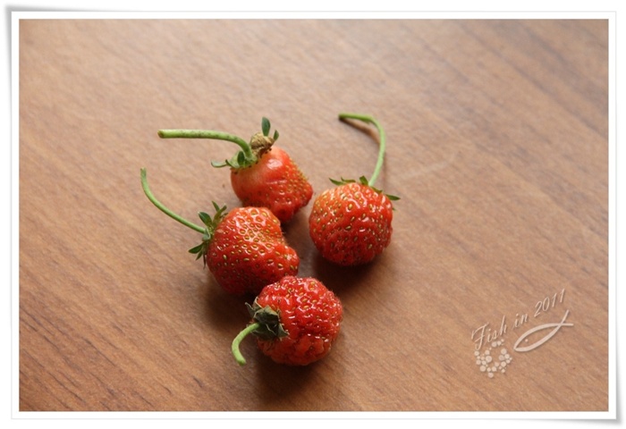 照片_0565-1.jpg 照片_0565-1.jpg