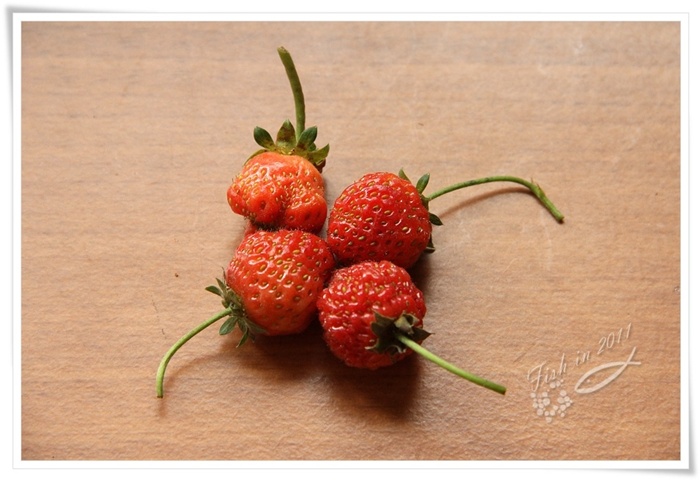 照片_0569-1.jpg 照片_0569-1.jpg