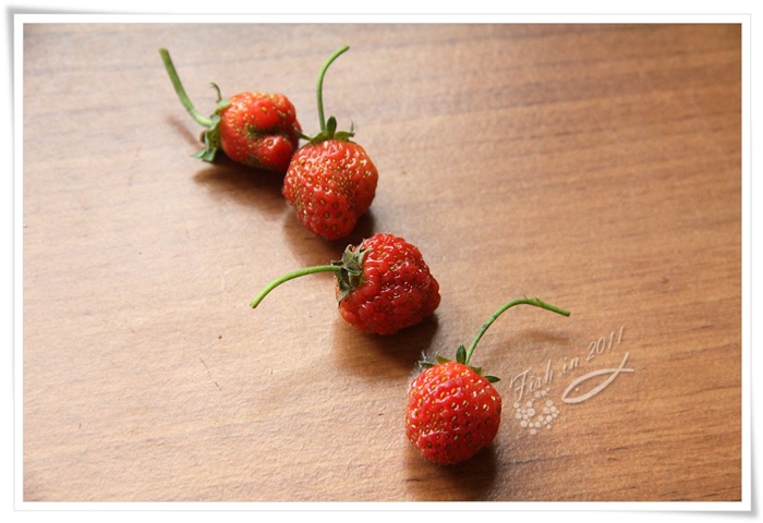 照片_0575-1.jpg 照片_0575-1.jpg