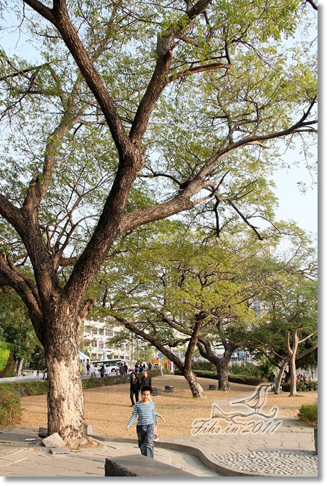 照片_0545-1.jpg 照片_0545-1.jpg