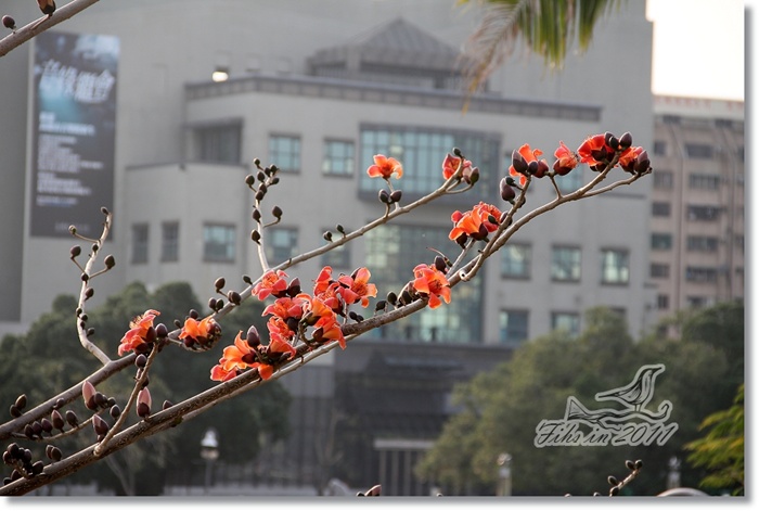 照片_0548-1.jpg 照片_0548-1.jpg