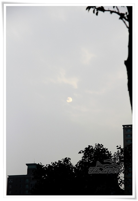 照片_0531-1.jpg 照片_0531-1.jpg