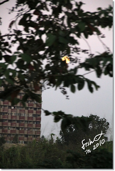 照片_3049-1.jpg 照片_3049-1.jpg