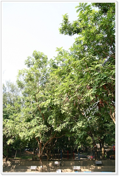 照片_1855-1.jpg 照片_1855-1.jpg