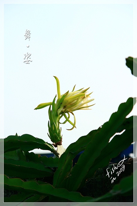 照片_1754-1.jpg 照片_1754-1.jpg
