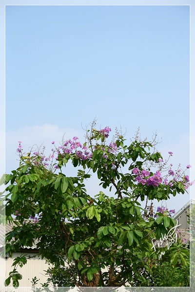 照片_1755-1.jpg 照片_1755-1.jpg