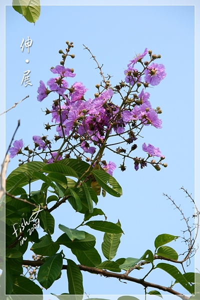 照片_1766-1.jpg 照片_1766-1.jpg