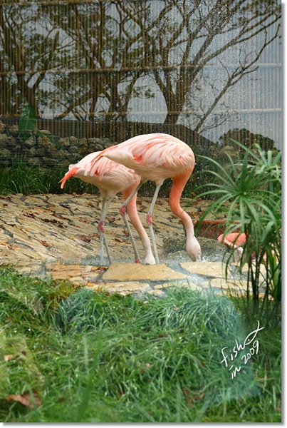照片_1622-1.jpg 照片_1622-1.jpg
