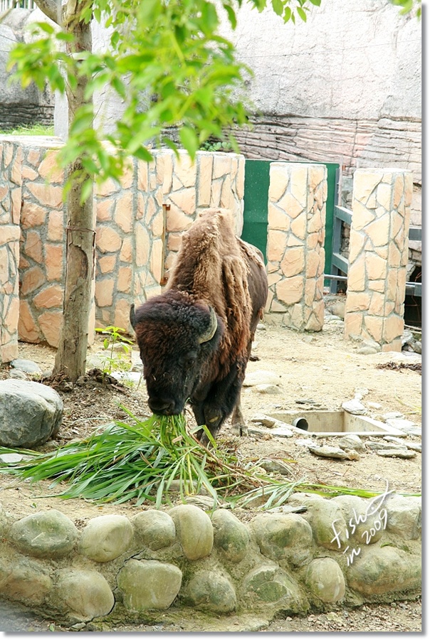 照片_1632-1.jpg 照片_1632-1.jpg