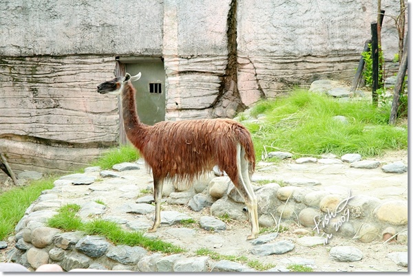 照片_1634-1.jpg 照片_1634-1.jpg
