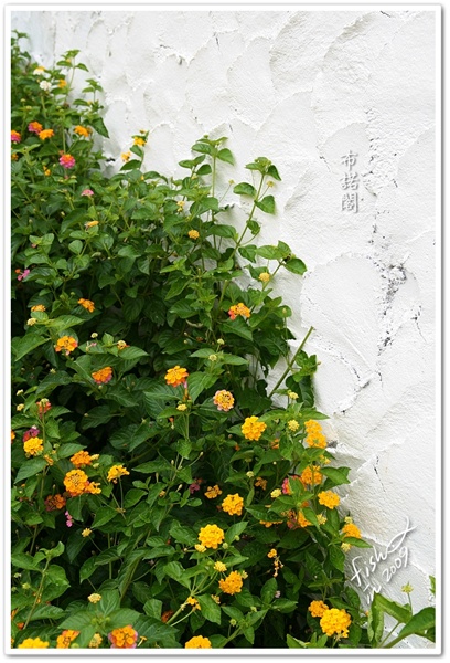 照片_1001-1.jpg 照片_1001-1.jpg