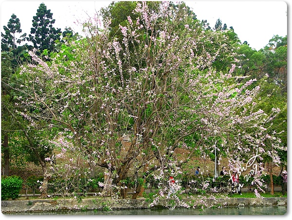 照片_0280-1.jpg 照片_0280-1.jpg