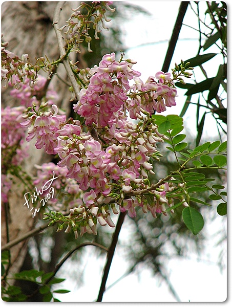 照片_0263-1.jpg 照片_0263-1.jpg