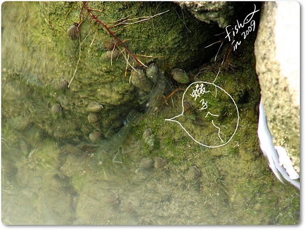 照片_0270-1.jpg 照片_0270-1.jpg