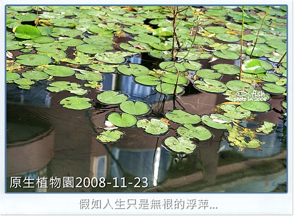 照片_0955-1.jpg 照片_0955-1.jpg