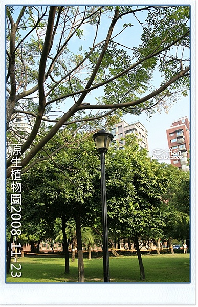照片_0968-1.jpg 照片_0968-1.jpg