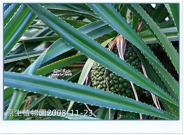 照片_0983-1.jpg 照片_0983-1.jpg