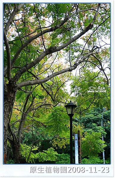 照片_0990-2.jpg 照片_0990-2.jpg