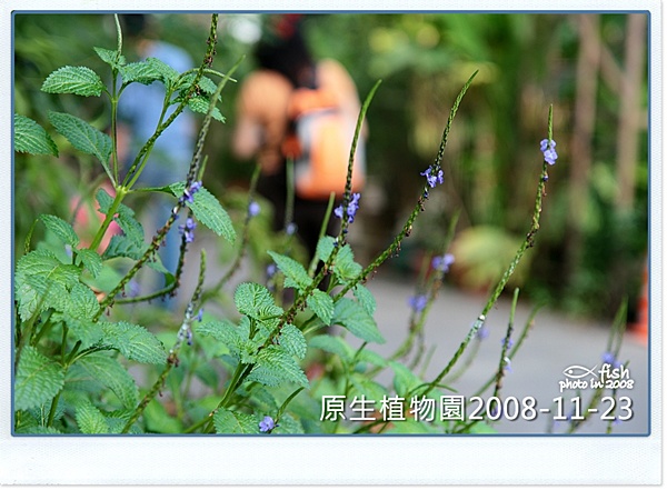 照片_0995-1.jpg 照片_0995-1.jpg