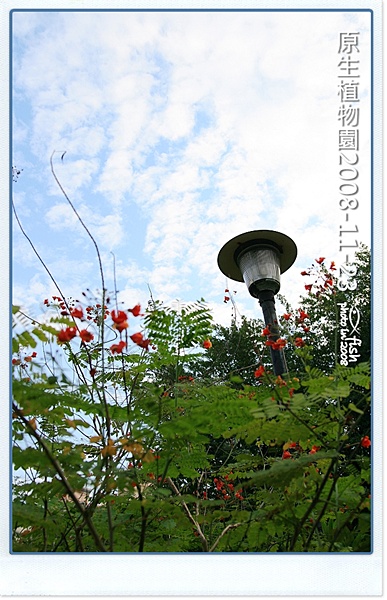 照片_0999-1.jpg 照片_0999-1.jpg