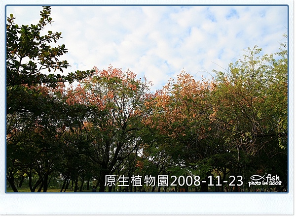 照片_1004-1.jpg 照片_1004-1.jpg
